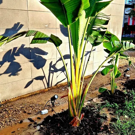 ホリデーパーク Maria's Village タヴィラ