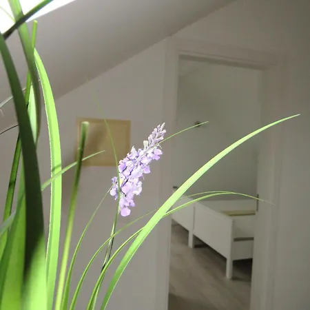 Maria's Village Holiday park Tavira