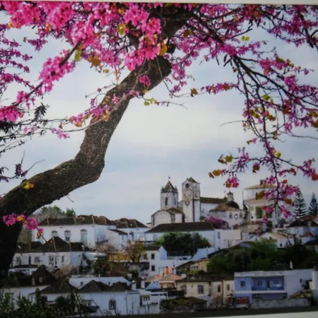 Maria's Village Holiday park Tavira